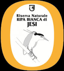 Incontro su specie esotiche invasive nelle Marche